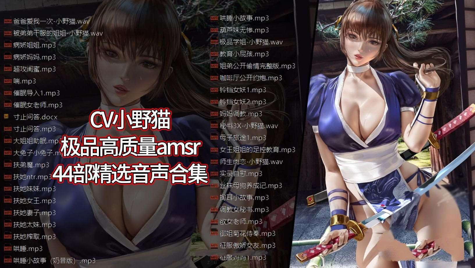 【极品AMSR/中文】CV小野猫：高质中文音声精选44部合集【1.9G/新作/中文配音】-ACG宝库