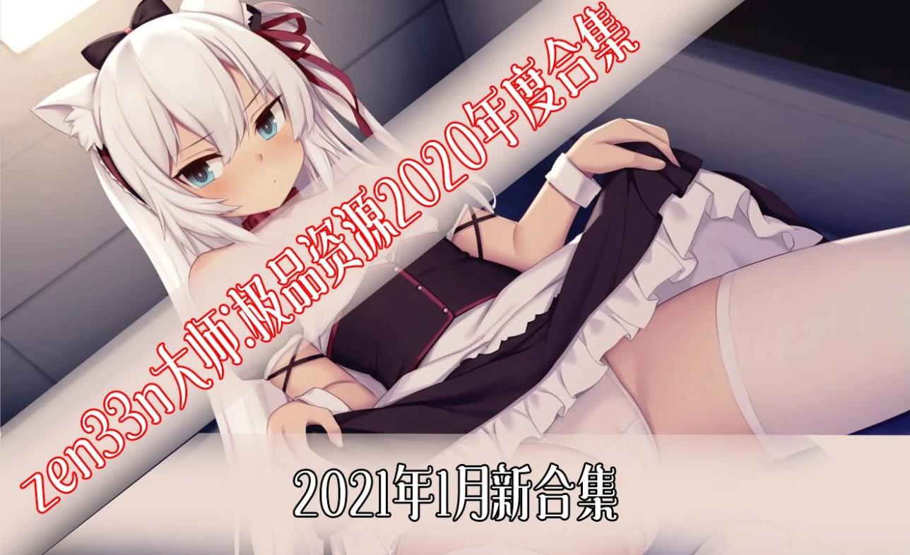 【2D同人/全动态】zen33n大师：极品2D全整合 [2020年度合集]【9G/新合集/全CV】-ACG宝库