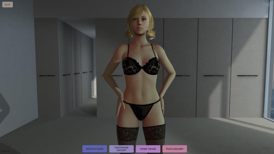 【经典3D/动态】应召小姐模拟器-官方破解版 (高自由度) ESCORT【2.1G】-ACG宝库