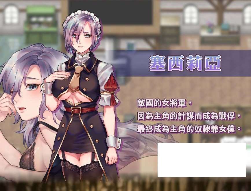 图片[4]-【日系RPG/中文/动态】奴隶女仆与报酬迷宫 BOKIBOKI官方中文步兵版【新作/500M】-ACG宝库