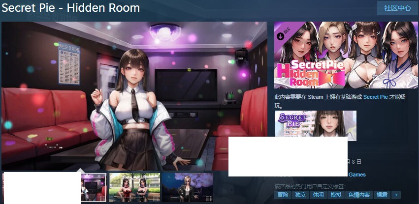 图片[2]-[欧美] 【神级ADV/中文/全动态】[KIDMO] 秘密派：V1.51C d1v3 d2v1全DLC官中步兵版【9月更新/2G】-ACG宝库