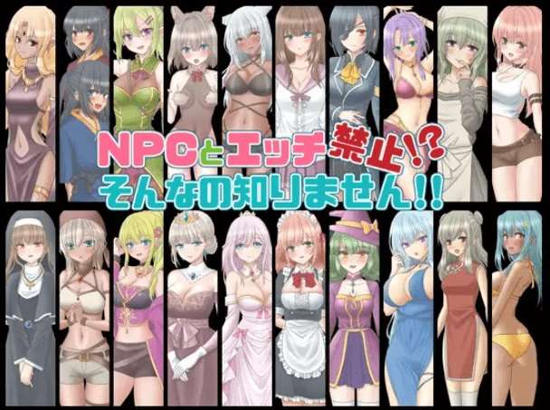 图片[3]-[PC-RPG游戏] 【RPG/机翻】NPCとエッチ禁止!?そんなの知りません!! Ver1.1【1G/度盘】-ACG宝库