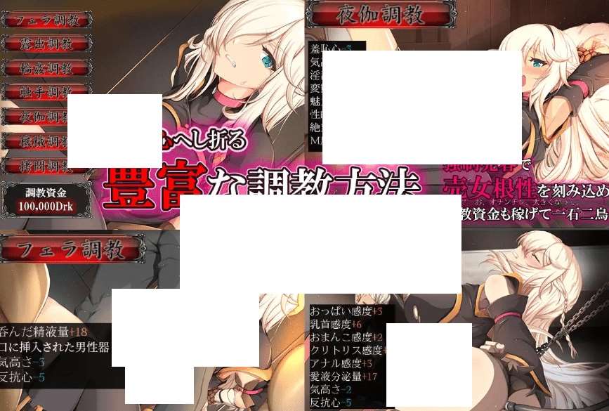 图片[3]-[PC-SLG游戏] 【SLG/机翻/新作/调教】雌豚性奴隷剣士セシリア ～凛々しき女剣士は淫らな調教に堕ちる～[A031271]【1.2G/度盘】-ACG宝库