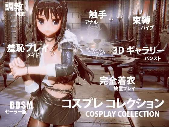 [PC-3D游戏] 【3D/官方中文/新作】コスプレ コレクション[A051927]【2G/度盘】-ACG宝库