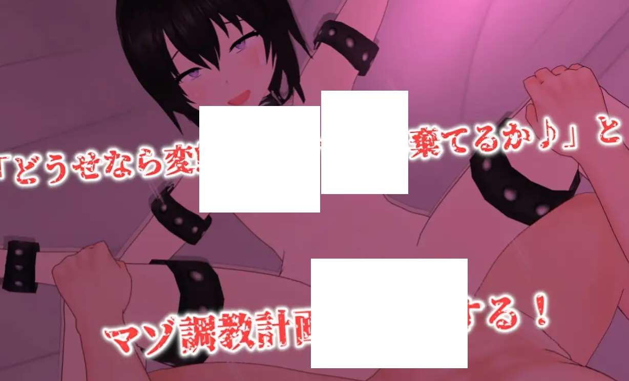 图片[2]-[PC-ADV游戏] 【ADV/机翻/新作】Discard 従順オモチャ少女の愉しい棄て方【2G/度盘】[A078481]-ACG宝库