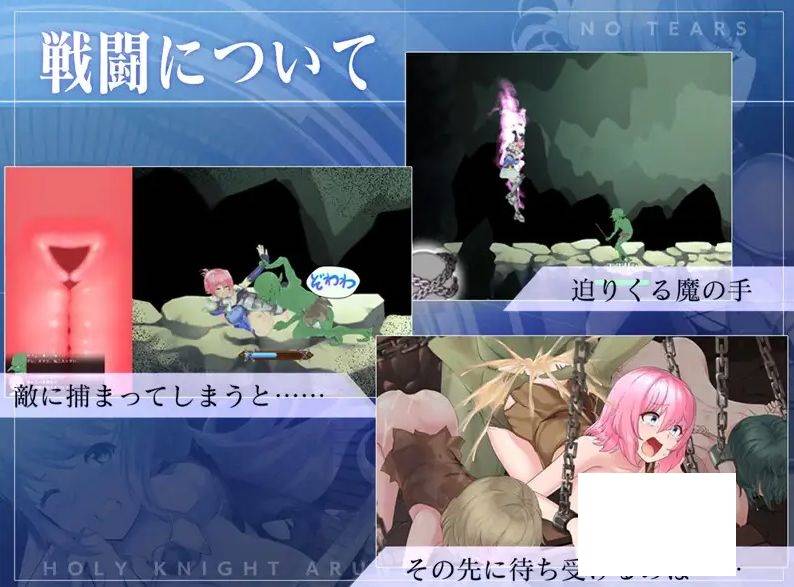 [PC-ACT游戏] [ACT/PC] 圣骑士阿尔内与魔孕的咒印 聖騎士アルネと魔孕の呪印～Another No Tears～ Ver1.0.5 [BD/1.5G][QSAL63]-ACG宝库