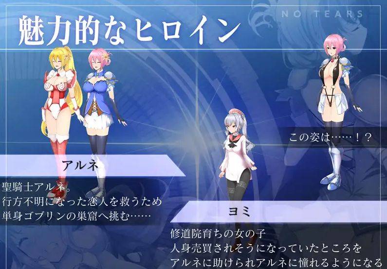 图片[2]-[PC-ACT游戏] [ACT/PC] 圣骑士阿尔内与魔孕的咒印 聖騎士アルネと魔孕の呪印～Another No Tears～ Ver1.0.5 [BD/1.5G][QSAL63]-ACG宝库