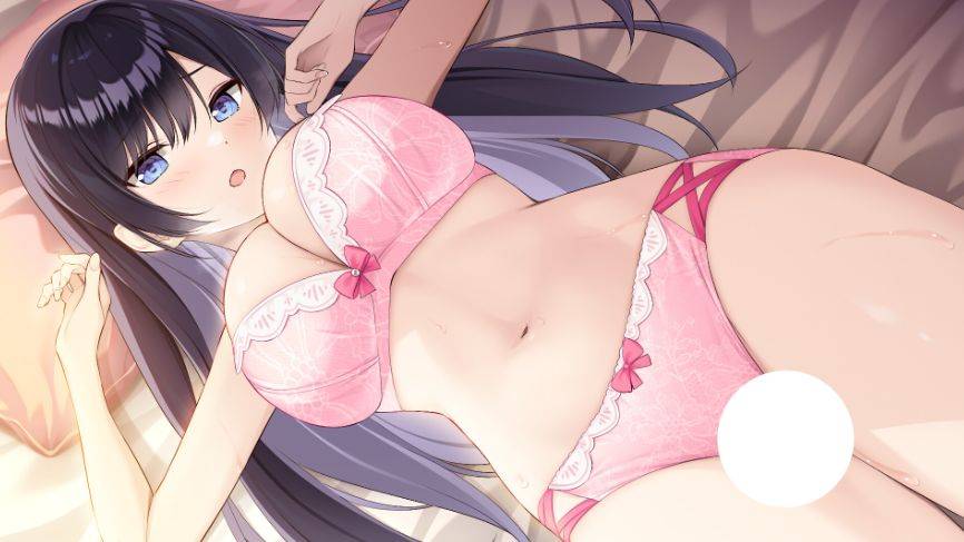 图片[4]-[PC-SLG游戏] [SLG/PC/官中] LingerieS / ランジェリーズ 官方中文版 [BD/2.7G][LING63]-ACG宝库