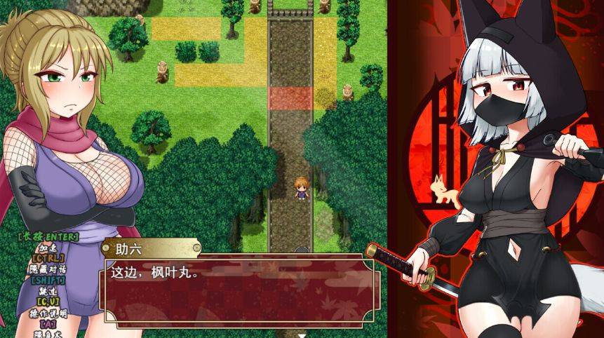 图片[2]-[PC-RPG游戏] [RPG/PC/官中] 忍者枫叶丸的秘章 官中步兵版 [BD/590M][RZFY63]-ACG宝库