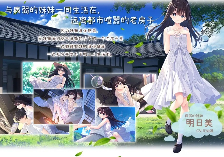 [PC-RPG游戏] [RPG/PC/官中] 痴情哥哥与病弱妹妹的乡间生活 官方中文版 [2.7G/百度][BRMM63]-ACG宝库