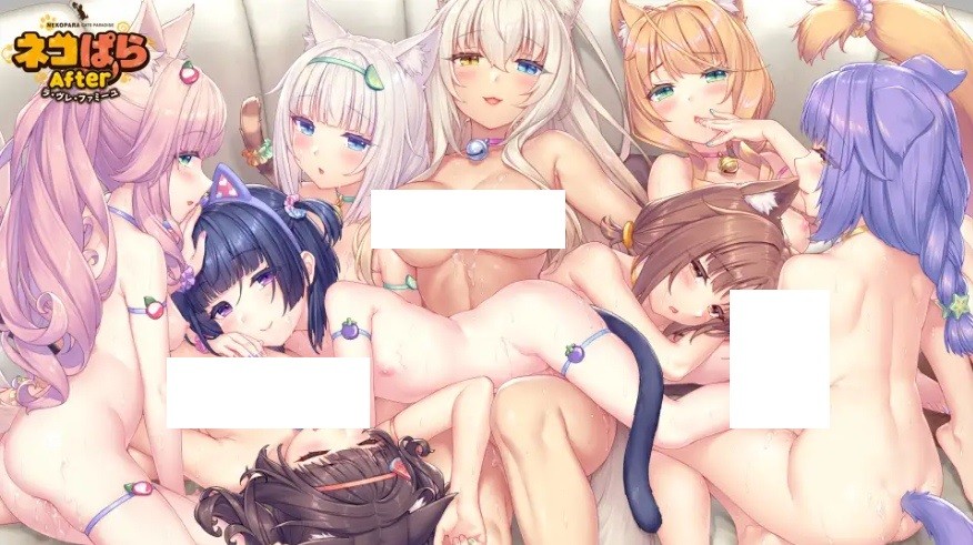 [PC-ADV游戏] 【ADV/官中】猫娘乐园 After/ネコぱら After ラ・ヴレ・ファミーユ 官方中文版【4G/BD】[maoniang]-ACG宝库