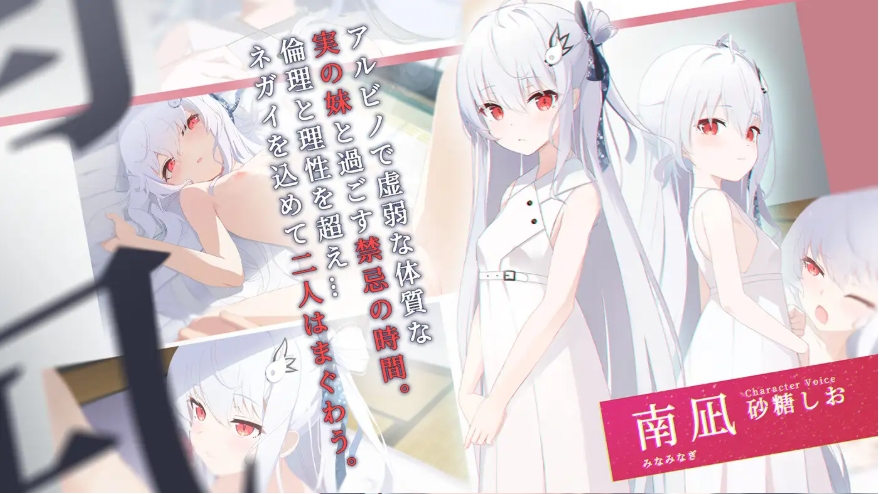 图片[2]-[PC-ADV游戏] 【ADV/汉化/新作】只愿/カタネガイ Ver1.01 精翻汉化版【1G/BD】[zhiyuan]-ACG宝库